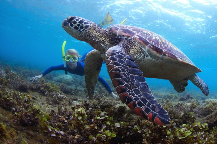 Snorkeling and Watersport Activities at Fujairah Snoopy Island - Photo 1 of 5